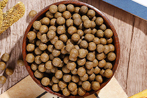 中藥制丸機(jī)